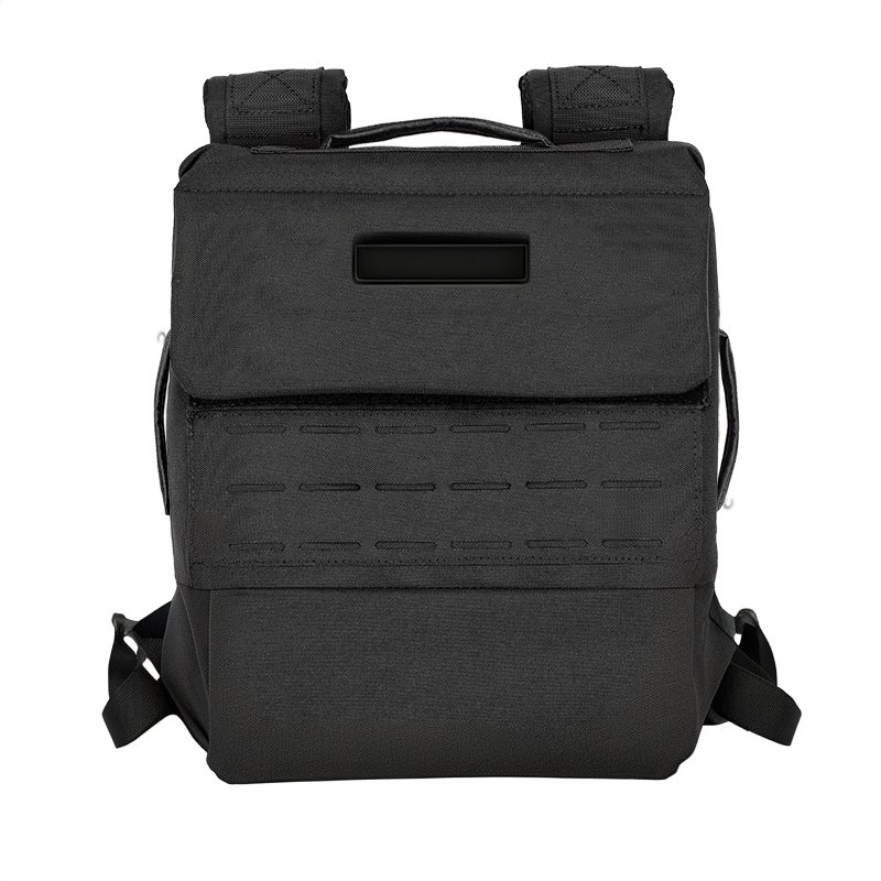 Weight plate backpack